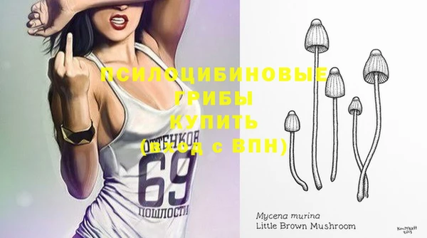 тгк Ладушкин