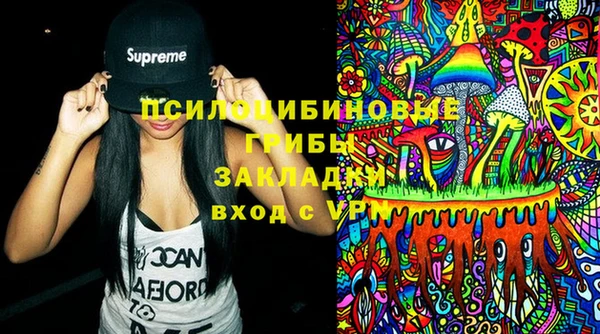 тгк Ладушкин