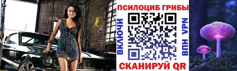 цены   Лысьва  Псилоцибиновые грибы Psilocybe 